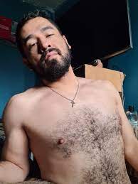 Gaynipples - bats.fyi