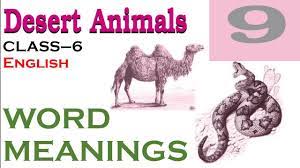 Class 6 Chapter 9 Desert Animals Translation Desert Animals Class 6 English Translation In Hindi Youtube