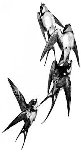 27 Ideas Bird Flying Swallow Bird27 Ideas Bird Flying Swallow Bird Swallow 2020 Kara Kalem Portre Hayvanlar Cizim