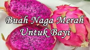 The email you just opened, or link you just clicked, was not sent by feedblitz. Manfaat Buah Naga Untuk Bayi 6 Bulan Pengobatan Dan Khasiat Herbal