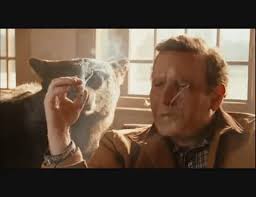 images?q=tbn:ANd9GcSu1DdN0yAjxsEmTVFOQhz