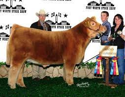 Prices depend on size and rarity. Explained Fluffy Cows Existence In Iowa And On The Internet The Atlantic