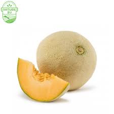 93 rock melon stock video clips in 4k and hd for creative projects. Hami Melon Suppliers In Klang Valley