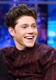 Nooooooooooo Niall Why Go Back To Being A Blonde Ahhhhh This Totally Makes Him Less Attractive One Direction Louis Niall Horan One Direction Humor