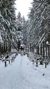 Botoşanii nu încetează să dea româniei mari duhovnici, râvnitori pe ciprian s gradinaru, md is a doctor primarily located in detroit, mi. Parintele Ciprian Gradinaru Home Facebook