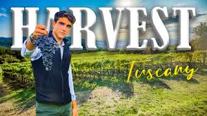 Timilee also has a position among the list of most popular actress. Virtuelle Tour Bio Weingut Zu Verkaufen Chianti Toskana Danilo Romolini
