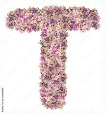 Buchstabe t alphabet musik logo design isoliert auf weißem hintergrund. Letter T Alphabet With Zinnia Flower Abc Concept Type As Logo Typography Design Stock Photo Adobe Stock