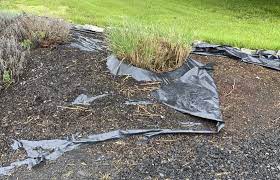There is no need to make a conscious effort to walk outside without your shoes on. Respect The Soil In Your Garden Don T Add Plastic To It