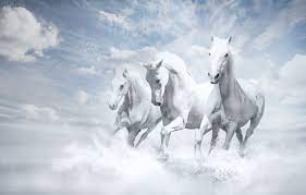 Free shipping on qualified orders. Wallpaper Wallpaper White Horse White Horses Images For Desktop Section Zhivotnye Download