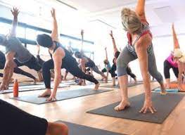 Class bookings are highly recommended. Yoga Tree Elsternwick The Fit List