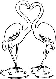 Enjoy this flamingo coloring page printable and watch the start to finish coloring by clicking the video box below or to watch the video in hd on youtube, click here. Flamingo Coloring Page Coloring Home