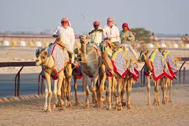 It's located half way to dukhan city and it took us 44 minutes to get to the shahaniya camel race.regarding the schedule, some web sites said it's 3 pm but some said. Qatar Al Shahaniya Camel Race Training 4 Kai Henrik Barth Photography