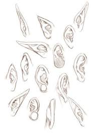 Ear Drawing Reference Zeichnen Von Referenzen Und Ressourcen Spaten Es Face Drawing Drawing People Art Reference Poses Drawing Reference Want to discover art related to elf_ears? art reference poses