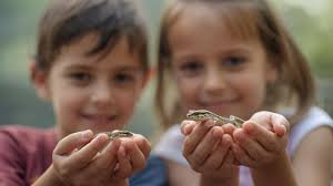 Saturday 27th September. 2pm-4pm Come and experience reptiles up close!  Great for the kids! Here are a few of the animals. Giant African land  snail, giant African millipedes, stick insects, corn snake,