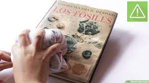 How To Clean A Book (With Pictures) - Wikihow