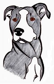 Pin On Pitbull