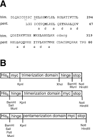 10.a desktop computer is to be cooled by a fan whose flow rate is 0.33 m 3/min. Molecular Mass Stoichiometry And Assembly Of 20 S Particles Journal Of Biological Chemistry