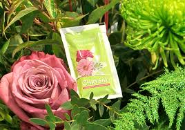 Are you wondering how you can keep your cut flowers what's the milligram of aspirin do you use? The Old Wives Tales Of Flower Care