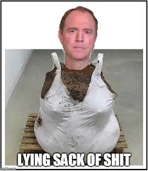 Image result for sack of shit gif