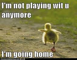 20 Hilariously Funny Animal Pictures With Captions Must Watch