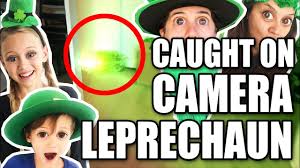 They're species are what the leprechaun on lucky charms, the elf on the horror movie leprechaun, and the famous elves from the hobbit or lord of the rings are based upon. Leprechaun Caught On Camera We Got Him Happy Saint Patricks Day Califamtv Youtube