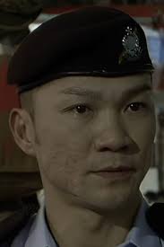 New Police Story (2004)