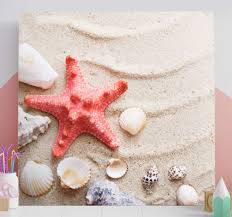 Crée en 1972, pierrot coquillages compte trois générations. Tableau Etoile De Mer Et Coquillages Tenstickers