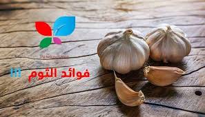 فوائد الثوم مضاد حيوي طبيعي تعرف على أهم علاجاته Sehajmal Vegetables Garlic Food
