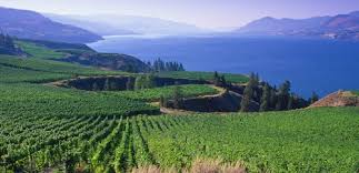 Access 115 trusted reviews, 38 photos & 29 tips from fellow rvers. New Leaf Take 2 Regina To Kelowna Bc 178 Cad Roundtrip Including Taxes Summer Travel