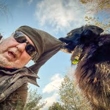 Ee Bestëpser bei senger Aarbescht am Lavendel 😎