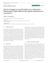 Image result for Neoboutonia melleri