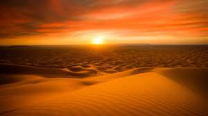 We would like to show you a description here but the site won't allow us. Desert Microbes Can Help Sustainable Agriculture In Extreme Environments