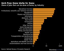 You will be handling customer questions about the amex products. What We Learned From The Work From Home Experiment Quicktake Bloomberg
