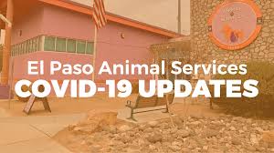 El paso wildlife removal tip: Epas Covid 19 Updates El Paso Animal Services