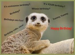Funny Animals 67482 Happy Birthday Funny Animalsl Happy Birthday Cards Birthday Cards Happy Birthday Card Funny