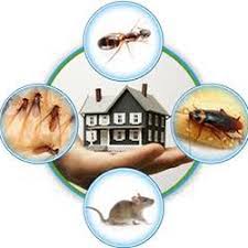 Use custom templates to tell the right story for your business. The Best 10 Pest Control Near Mountainside Nj 07092 Last Updated April 2021 Yelp