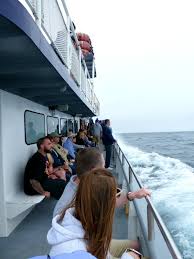 For san diego whale watching, newport landing provides year round whale watching cruises multiple times daily departing north of san diego in newport beach. San Diego Whale Watching California Travel Travelingmom