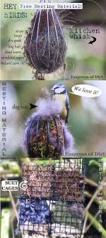 Birds That Make Mud Nests On Houses Wire Whisk Filled With Stuff For The Birds To Use To Build A Nest Bird Feeders Bird Garden Bird Houses