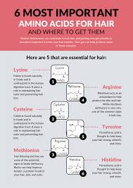 It supports the formation of collagen, can strengthen hair and improve its own repair mechanisms. 6 Most Important Amino Acids For Hair And Where To Get Them Healthy Hair Advice