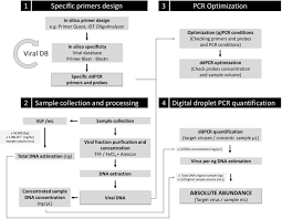 Frontiers Droplet Digital Pcr For Estimating Absolute