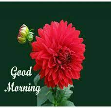 Pin On Good Morning