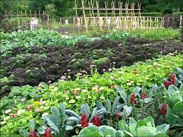 Sigh Kitchen Garden Jardin Potager Kuchengarten Selbstversorger Garten Gemusegarten Anlegen Kuchengarten