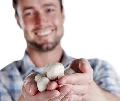 Compost & Raw Materials