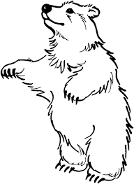 Pin By Sherry Pride On Work Polar Bear Coloring Page Bear Coloring Pages Bear Pictures