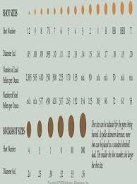 Buckshot is a shot formed to larger diameters so that it can be used against bigger game such as deer, moose or caribou. Shotgun Shot Size Chart Lares