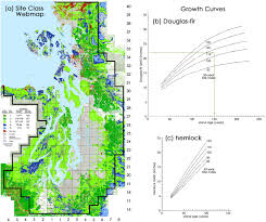 Pre Settlement Forests Around Puget Sound Eyewitness