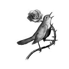 The Nightingale And The Rose By Oscar Wilde Tatoo Tatuagem My Idol