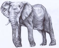 Elephant Poster Home Decor Biro Art Pen Drawing Elephant Gift Nursery Wall Art Wildlife Artwork African Elepha Elephant Poster Wildlife Artwork Biro Art