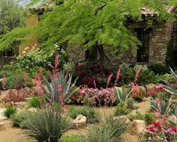 Las Vegas Desert Landscaping Ideas Pictures Remodel And Decor Waterconservation Drought Desert Landscape Design Landscaping With Rocks Desert Landscaping