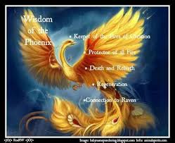 Wisdom Of The Phoenix Spirit Animal Totem Animal Spirit Guides Spirit Animal